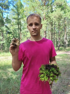 Максим Соловьев